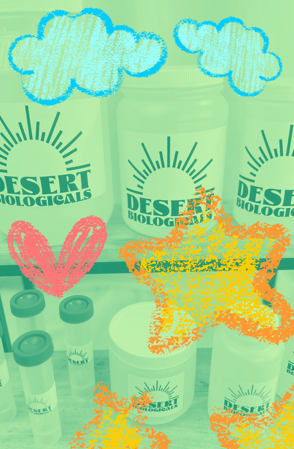 Cellulase RS Desert Bio