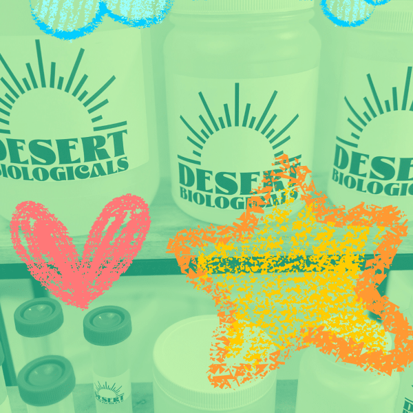 Cellulase RS Desert Bio